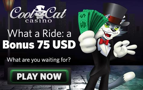 cool cat casino review|cool cat casino review 2021.